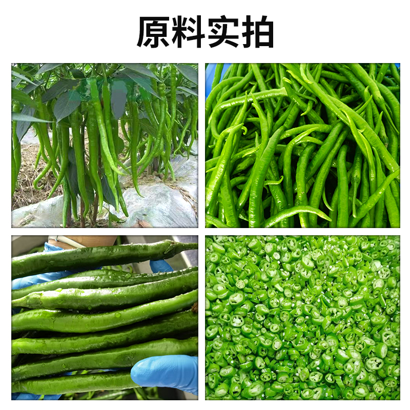 微信圖片_20240907175437.jpg