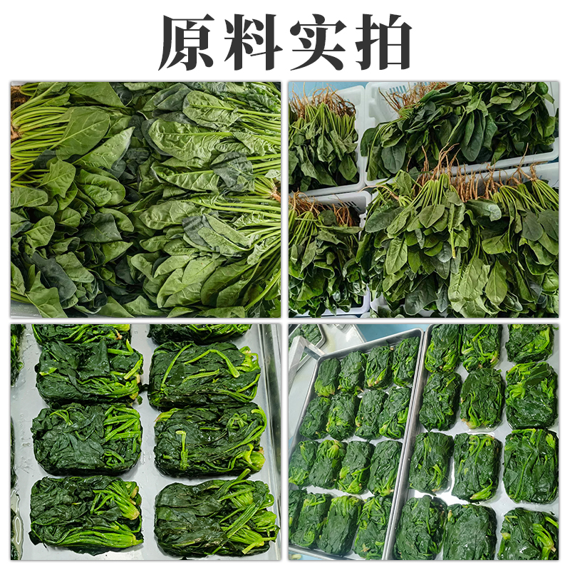 菠菜2.jpg
