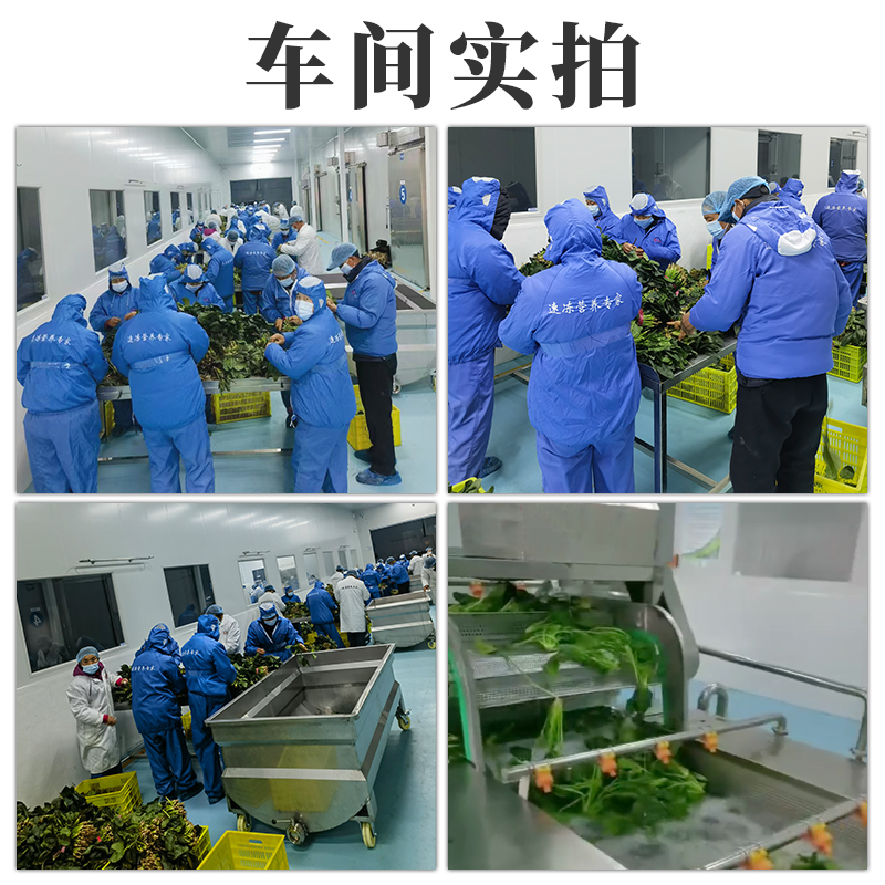 菠菜3.jpg